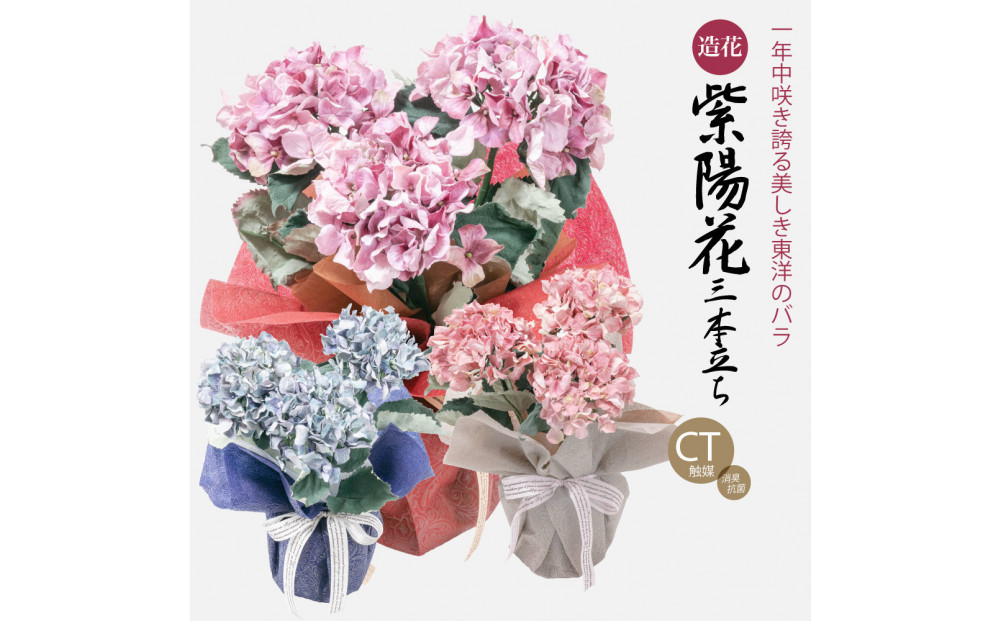 繧「繝シ繝繧」繝輔ぅ繧キ繝」繝ォ繝輔Λ繝ッ繝シ 邏ォ髯ス闃ア 螟ァ霈ェ 3譛ャ遶九■ 繝代シ繝励Ν SC隗ヲ蟐貞刈蟾・貂