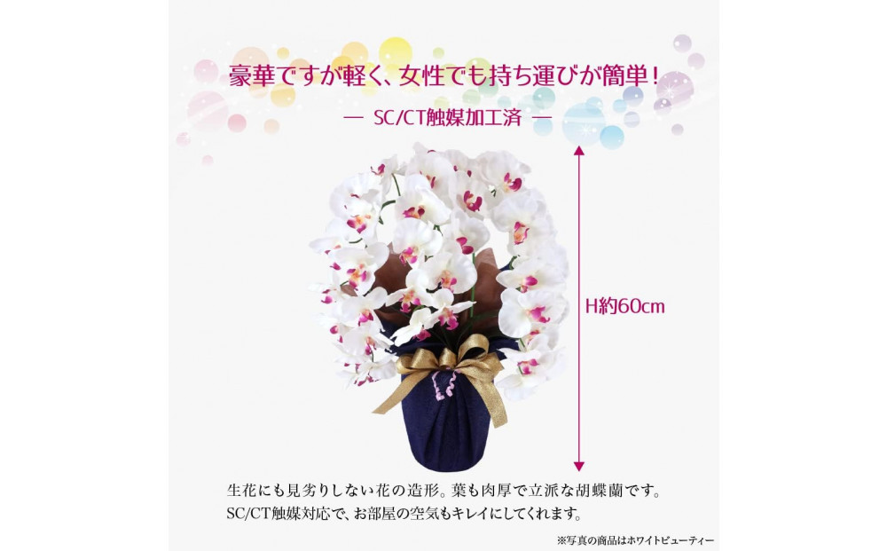 譫ッ繧後↑縺繧「繝シ繝繧」繝輔ぅ繧キ繝」繝ォ繝輔Λ繝ッ繝シ 閭。陜カ陂ュ 3譛ャ遶九■ 繝帙Ρ繧、繝医ン繝・繝シ繝繧」SC隗ヲ蟐貞刈蟾・貂
