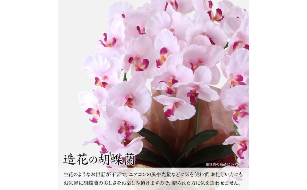譫ッ繧後↑縺繧「繝シ繝繧」繝輔ぅ繧キ繝」繝ォ繝輔Λ繝ッ繝シ 閭。陜カ陂ュ 3譛ャ遶九■ 繝ゥ繝吶Φ繝繝シ SC隗ヲ蟐貞刈蟾・貂