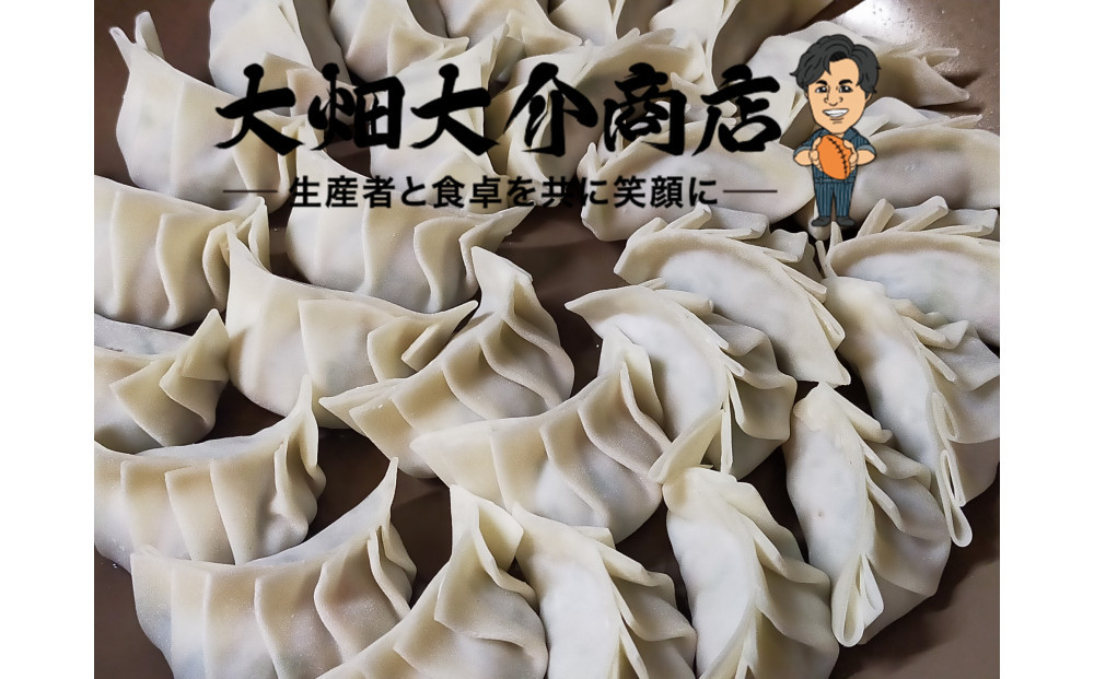 【京阪百貨店厳選】大畑大介商店オリジナル　ダイスケのジャンボねぎ餃子 10個×2P