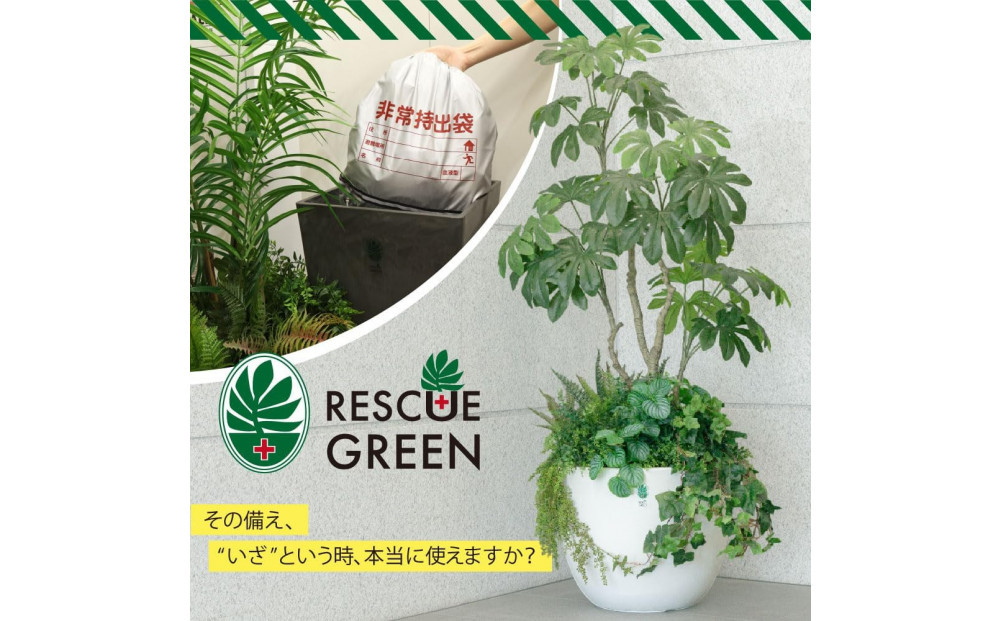 RESCUE GREEN シ医Ξ繧ケ繧ュ繝・繝シ繧ー繝ェ繝シ繝ウシ 髦イ轣ス隱イ髟キ 譛ィ荳九◎縺ェ縺 鮟 RG-SL-B 髦イ轣ス繧ー繝繧コ 繝輔ぉ繧、繧ッ繧ー繝ェ繝シ繝ウ 髦イ轣ス蛯呵塘