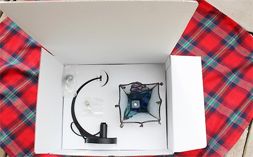 葡萄の吊りランプ