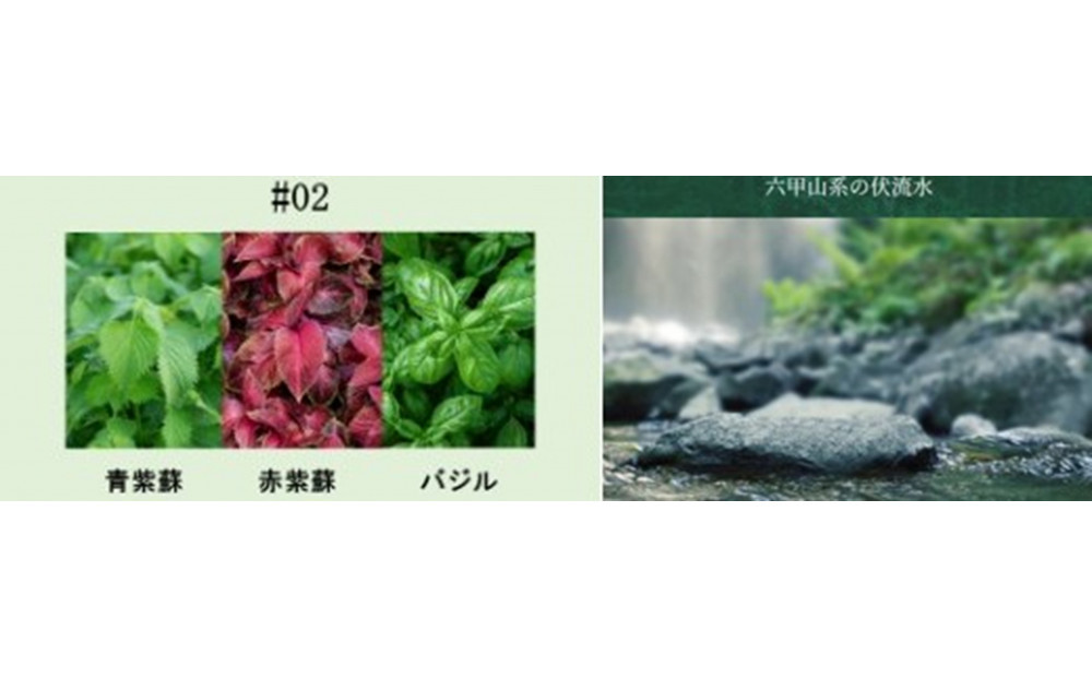 逋ス鮓エ KOBE HERBAL GIN 逋ス鬚ィ (縺励i縺九●シ#02 700ml逑カ シ亥喧邊ァ邂ア莉倥″シ