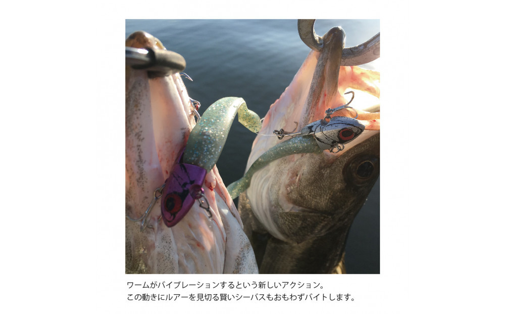 コアマン VJ-22バイブレーションジグヘッド KOBEスペシャルパッケージ 3個セット