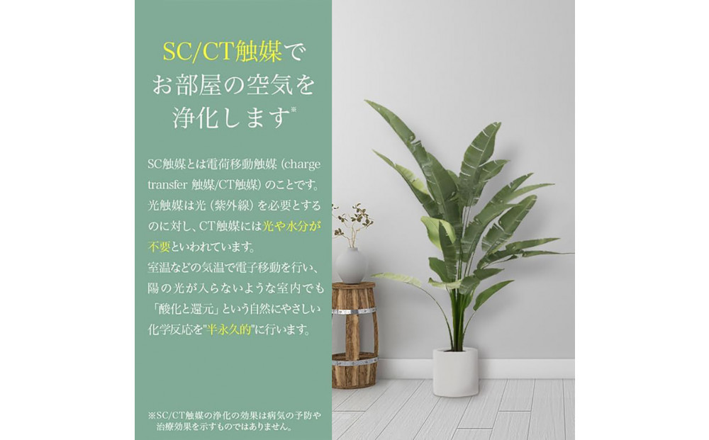 莠コ蟾・隕ウ闡画、咲黄 繧「繝ャ繧ォ繝代シ繝175cm 讓ケ閼る欧L繧オ繧、繧コ逋ス SC隗ヲ蟐貞刈蟾・貂