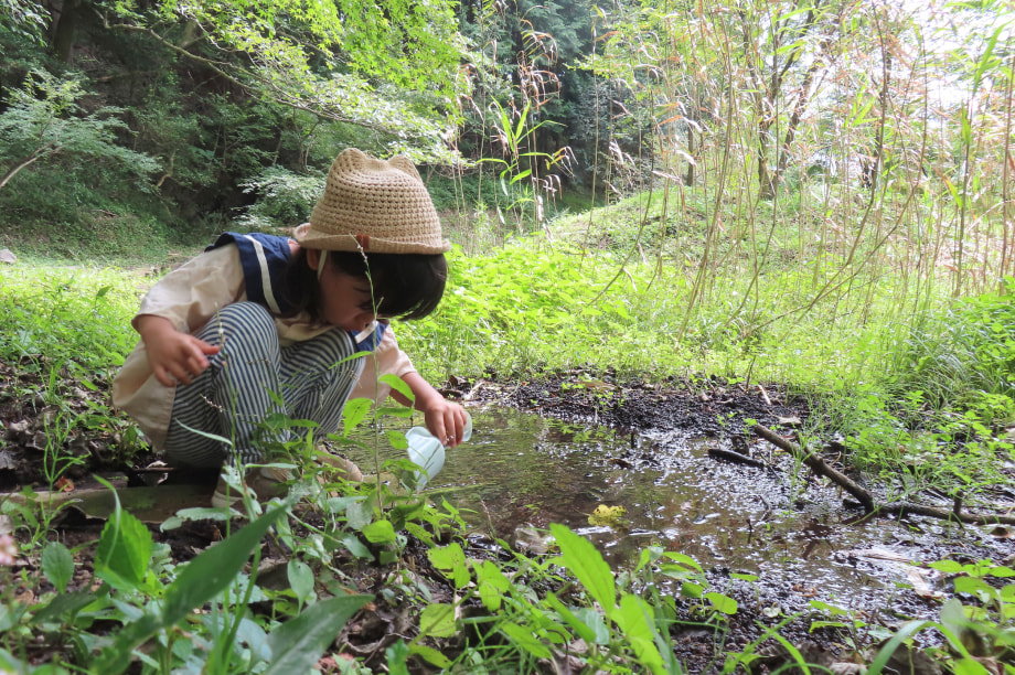 3.持続可能なまちづくり（森林・里山の再生、環境保全、農水産業の活性化など）