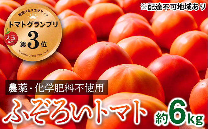 【トマトGP受賞】栽培期間中農薬化学肥料不使用 お得なプレミアムトマト ふぞろい約6kg