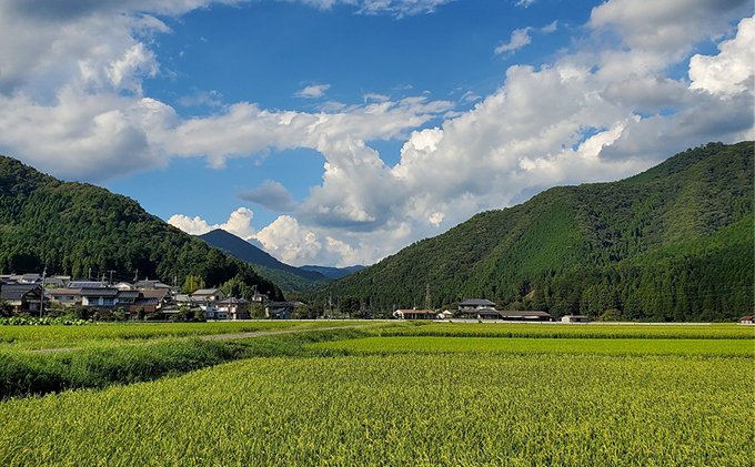 純米大吟醸　伝授　火入れ　1，800ml