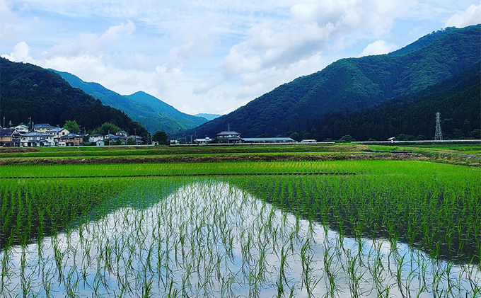 純米大吟醸　伝授　火入れ　1，800ml