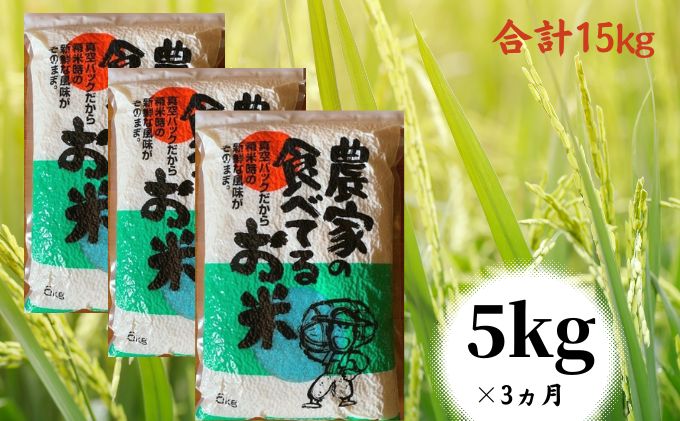 【令和6年度産】定期便　5kg 3ヵ月「農家の食べてるお米」3ヵ月連続お届け　毎月 ライス ご飯 主食 ストック 日持ち 備蓄品 保存食 兵庫県産 姫路市産 産地直送 3回 