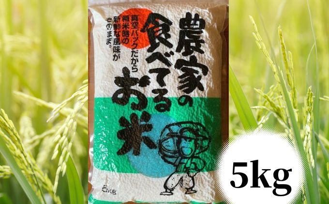 【令和6年度産】農家の食べてるお米　5kg　真空パック ライス ご飯 主食 ストック 日持ち 備蓄品 保存食 兵庫県産 姫路市産 産地直送 