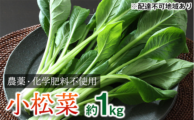 栽培期間中農薬化学肥料不使用の小松菜詰め合わせ　約1kg（100g×10袋）