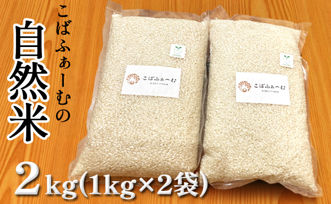 2024年1月中旬以降出荷予定【令和5年度産】こばファームの自然米 2kg （1kg×2袋） 精米 （秀明自然農法認証、有機JAS認証）