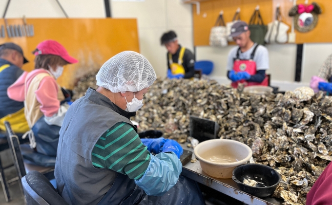 定期便【1月より3ヵ月連続お届け】旬の牡蠣を食べ比べ！大粒特選 姫路産 剥き真牡蠣（加熱用）約1.5kg／カキ かき 貝類 兵庫県 特産品 1年牡蠣