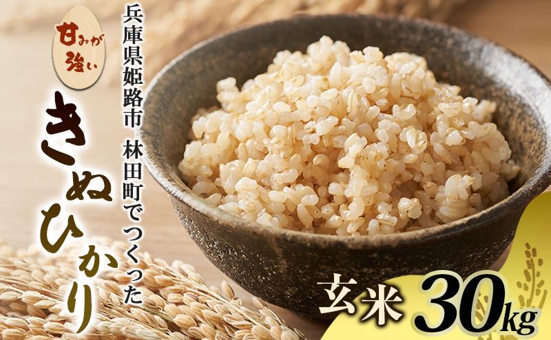 [令和7年産]<10月初旬以降発送予定>きぬひかり玄米30キロ 兵庫県姫路市産　白米　米　お米 精米 ご飯 甘みが強い ツヤ キヌヒカリ もっちりとした食感 単一原料米 おいしいお米
