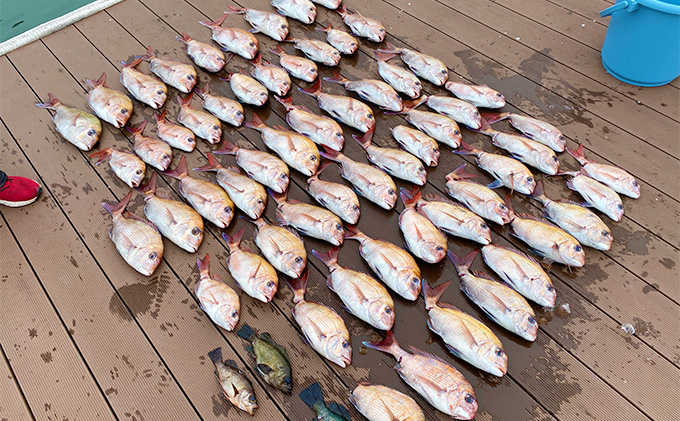 瀬戸内海 家島近郊船釣り体験（遊漁船で5時間釣り三昧1名様）