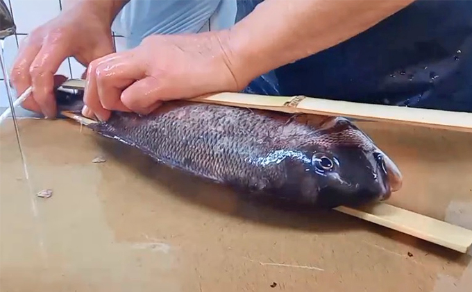 鯛の浜蒸し（約30cm 1kg）