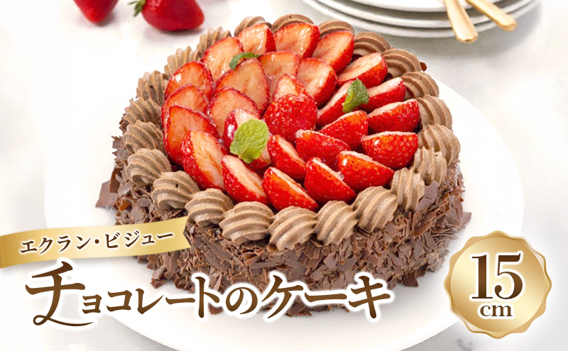 エクラン・ビジュー「チョコレートのケーキ」 お菓子 タルト 宝石箱 フルーツ 新鮮 美味しい カスタードクリーム 手作業 安心 しっとり