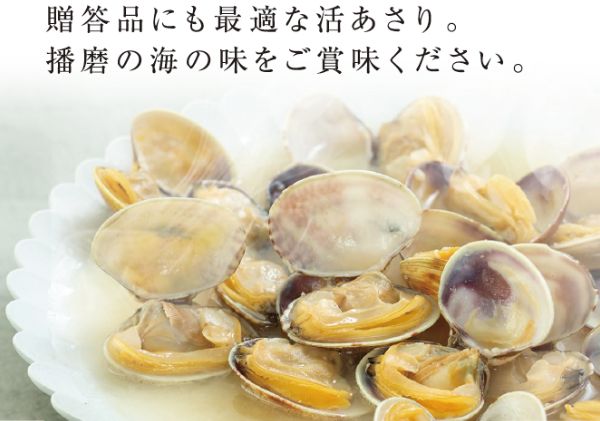 令和6年2月出荷 先行予約 【特大厳選】シェフが育てた白浜の活あさり2kg 