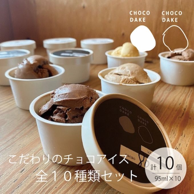 チョコレート専門店 こだわりの 濃厚チョコレート アイスクリーム 10種類 詰合せ 各95ml×10個 ギフト カップアイス チョコレート チョコアイス ショコラ 濃厚 スイーツ 内祝