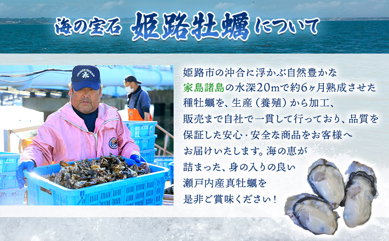 牡蠣 殻付き 加熱用 約4kg 旬にお届け！ 姫路産 1年牡蠣 真牡蠣 かき 生牡蠣 生カキ 生かき 魚介類 魚介 海鮮 海の幸 兵庫県 2024年1月中旬以降順次発送予定