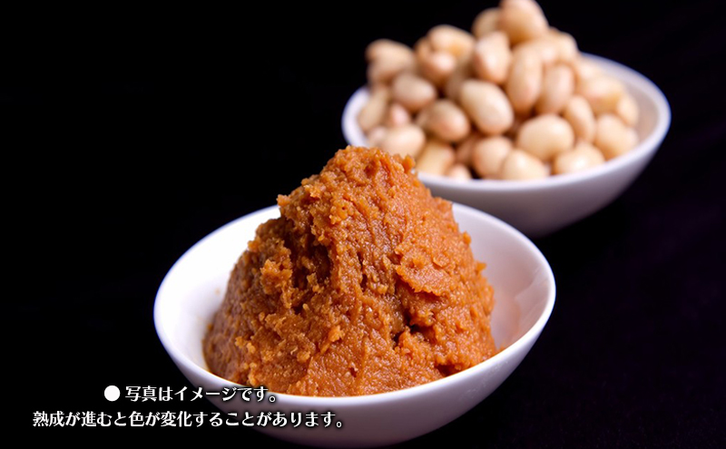 自然栽培の麦みそ（600g）（有機JAS・秀明自然農法認証取得) 味噌 