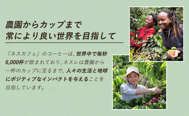 インスタントコーヒー ネスカフェ ゴールドブレンド コク深め エコ＆システムパック 55g×12個 ネスレ