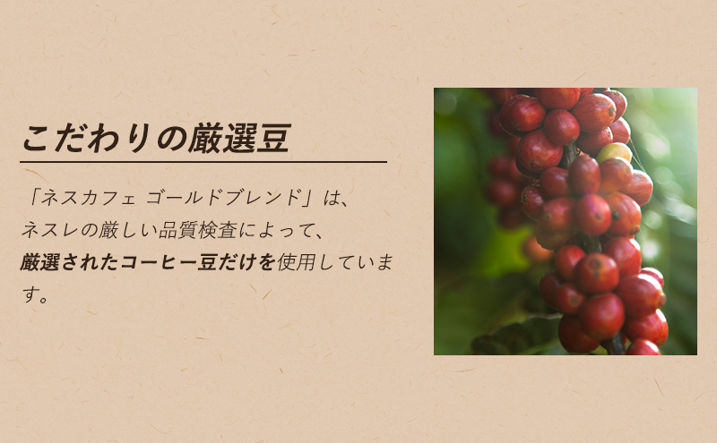 インスタントコーヒー ネスカフェ ゴールドブレンド コク深め エコ＆システムパック 55g×12個 ネスレ