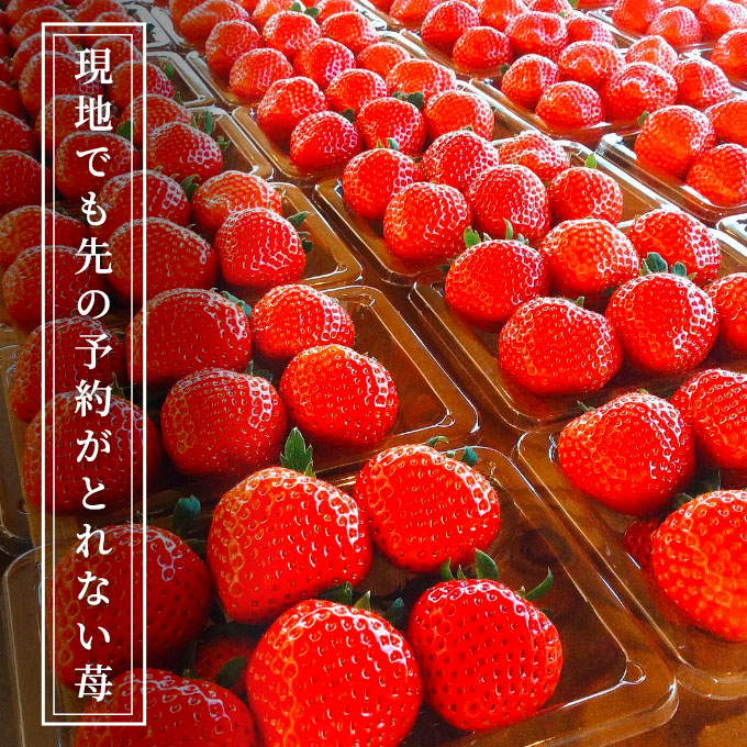 空浮ãã¡ã 8ããã¯ãåæµ·éã»æ²çžã»é¢å³¶ãžã®ãå±ãäžå¯ã æç© ãã«ãŒã å§«è·¯åžç£ ããŠã¹è²ã¡ ãã¶ãŒã ãã〠é£åŸ ãèåäœã ã±ãŒãäœã