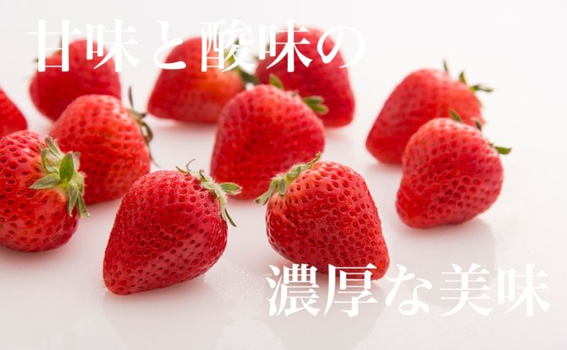 空浮ãã¡ã 4ããã¯ãåæµ·éã»æ²çžã»é¢å³¶ãžã®ãå±ãäžå¯ã æç© ãã«ãŒã å§«è·¯åžç£ ããŠã¹è²ã¡ ãã¶ãŒã ãã〠é£åŸ ãèåäœã ã±ãŒãäœã