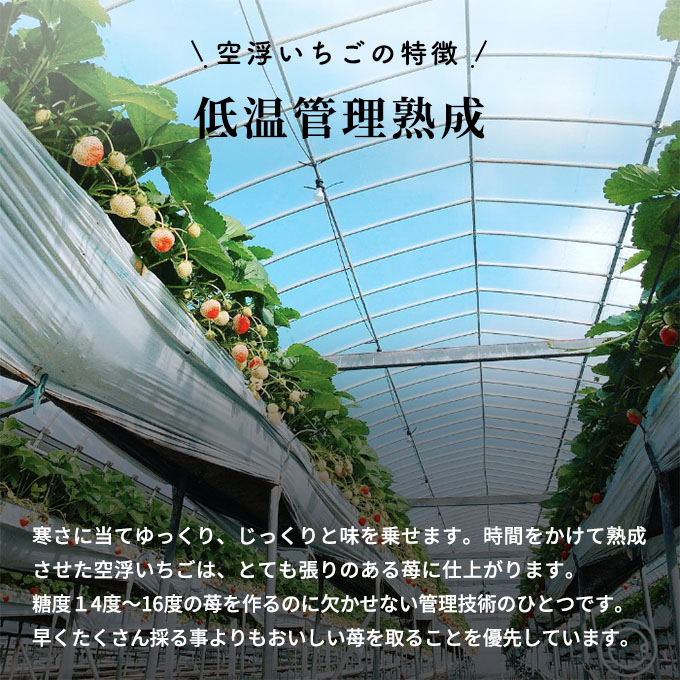 空浮ãã¡ã 4ããã¯ãåæµ·éã»æ²çžã»é¢å³¶ãžã®ãå±ãäžå¯ã æç© ãã«ãŒã å§«è·¯åžç£ ããŠã¹è²ã¡ ãã¶ãŒã ãã〠é£åŸ ãèåäœã ã±ãŒãäœã
