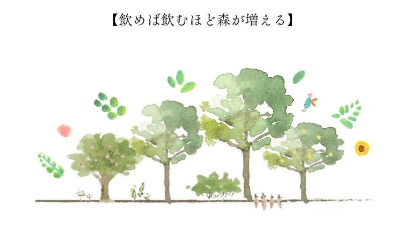 森の力でおいしく整うクラフトコーラ 5本セット 森のコーラ 整う ダイエット 美容 健康 腸活 ダイエットおやつ おやつ ドリンク 甘酒 ご褒美 ギフト おすすめ 姫路市 森を守る 森林再生 ナチュラル エシカル サステナブル