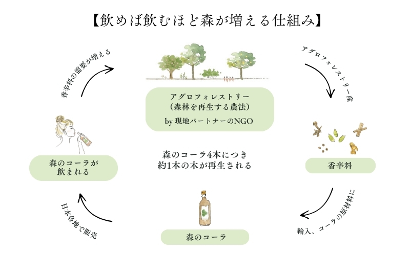 森の力でおいしく整うクラフトコーラ 森のコーラ 整う ダイエット 美容 健康 腸活 ダイエットおやつ おやつ ドリンク 甘酒 ご褒美 ギフト おすすめ 姫路市 森を守る 森林再生 ナチュラル エシカル サステナブル