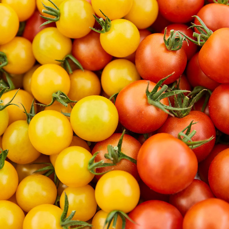 【高級旅館でも使用！】イエローミニトマトのトマトジュース 180ml 90本セット｜国産 姫路産 八百ちゃんトマト 100%ストレート