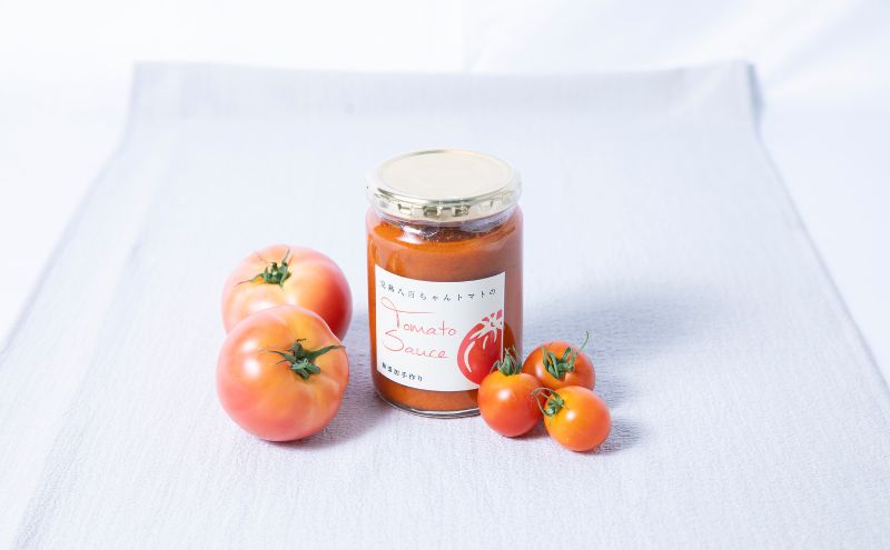 【タコライスや卵料理に！】サルサソース 340g 2本セット｜国産 姫路産 八百ちゃんトマト 着色料・保存料不使用