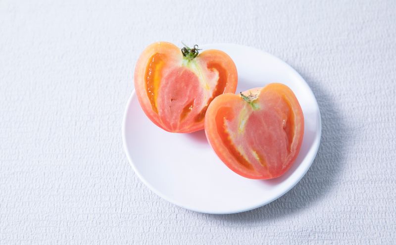 【定期便・全4回】サルサソース 340g 2本セット ×4回｜国産 姫路産 八百ちゃんトマト 着色料・保存料不使用