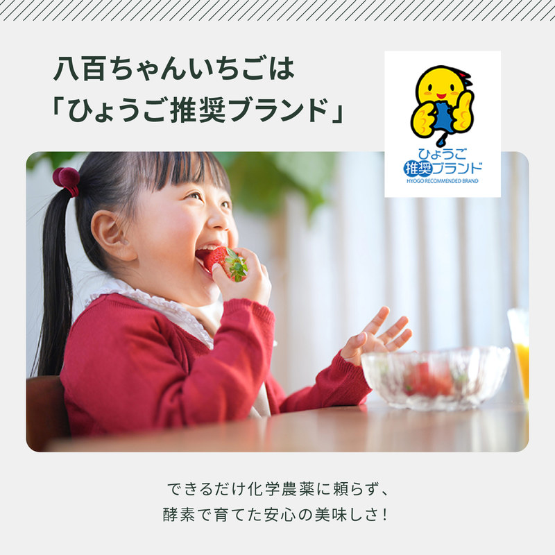 【定期便・全2回】農家のホンモノ いちごジャム 140g 2本セット × 2回｜五つ星ひょうご認定 国産 砂糖不使用  八百ちゃんいちご