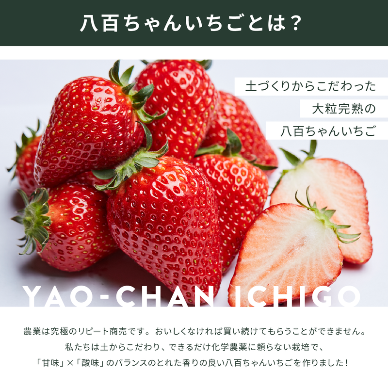 【定期便・全3回】農家のホンモノ いちごジャム 140g 2本セット × 3回｜五つ星ひょうご認定 国産 砂糖不使用  八百ちゃんいちご