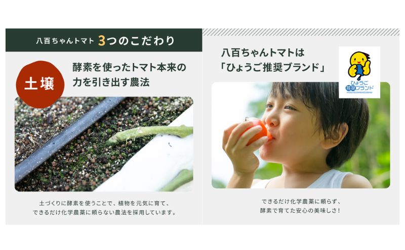 縲仙ョ壽悄萓ソ繝サ蜈ィ2蝗槭代ヨ繝槭ヨ霎イ螳カ縺ョ譛ャ譬シ繝代せ繧ソ繧ス繝シ繧ケ 繝医槭ヨ蜻ウ 120g 2譛ャ繧サ繝繝 テ 2蝗橸ス懷嵜逕」 蟋ォ霍ッ蟶ら肇 螳檎溷ォ逋セ縺。繧繧薙ヨ繝槭ヨ 荳閭ス隱ソ蜻ウ譁