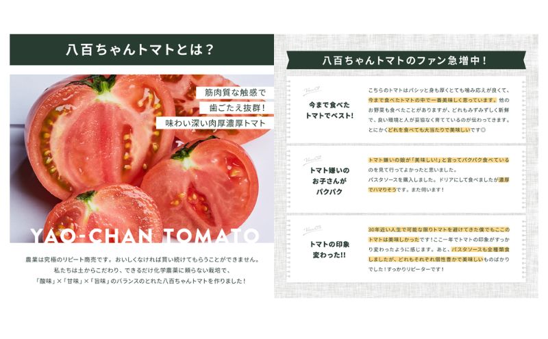 縲仙ョ壽悄萓ソ繝サ蜈ィ5蝗槭代ヨ繝槭ヨ霎イ螳カ縺ョ譛ャ譬シ繝代せ繧ソ繧ス繝シ繧ケ 繧ャ繝シ繝ェ繝繧ッ蜻ウ 120g 2譛ャ繧サ繝繝 テ 5蝗橸ス懷嵜逕」 蟋ォ霍ッ蟶ら肇 螳檎溷ォ逋セ縺。繧繧薙ヨ繝槭ヨ 荳閭ス隱ソ蜻ウ譁