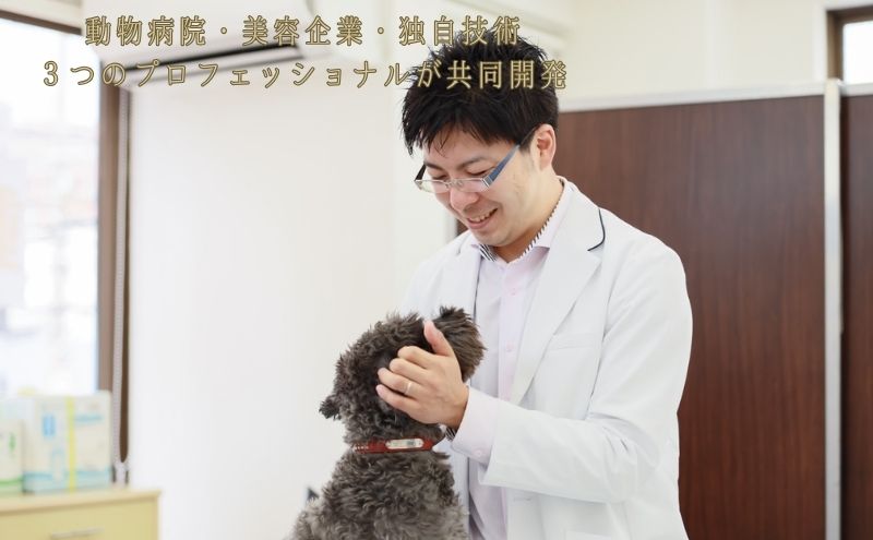 動物病院皮膚科チームが開発・設計、フワフワの毛並みを実現する美容メーカーの独自技術を採用、厳選された国産原料を使用、旅行のお供にも最適な新しい犬用日常ケアシャンプー、「慶和シャンプー(登録商標)」300ml 3本セット
