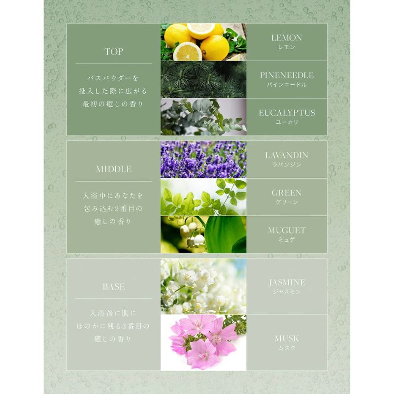 入浴剤 水素入浴剤  フォレスト 香り付 1個 10回分  無香料25g 5個 お試し セット  H＆ アッシュアンド ナノバブル 女性 プレゼント ギフト 水素風呂 水素 半身浴 美肌 疲労回復 睡眠 快眠 炭酸 炭酸入浴剤