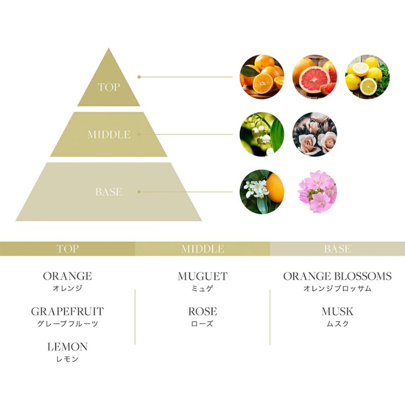 入浴剤 水素入浴剤  シトラス 香り付 1個 10回分 無香料25g 5個 お試し セット H＆ アッシュアンド ナノバブル 女性 プレゼント ギフト 水素風呂 水素 半身浴 美肌 疲労回復 睡眠 快眠 炭酸 炭酸入浴剤