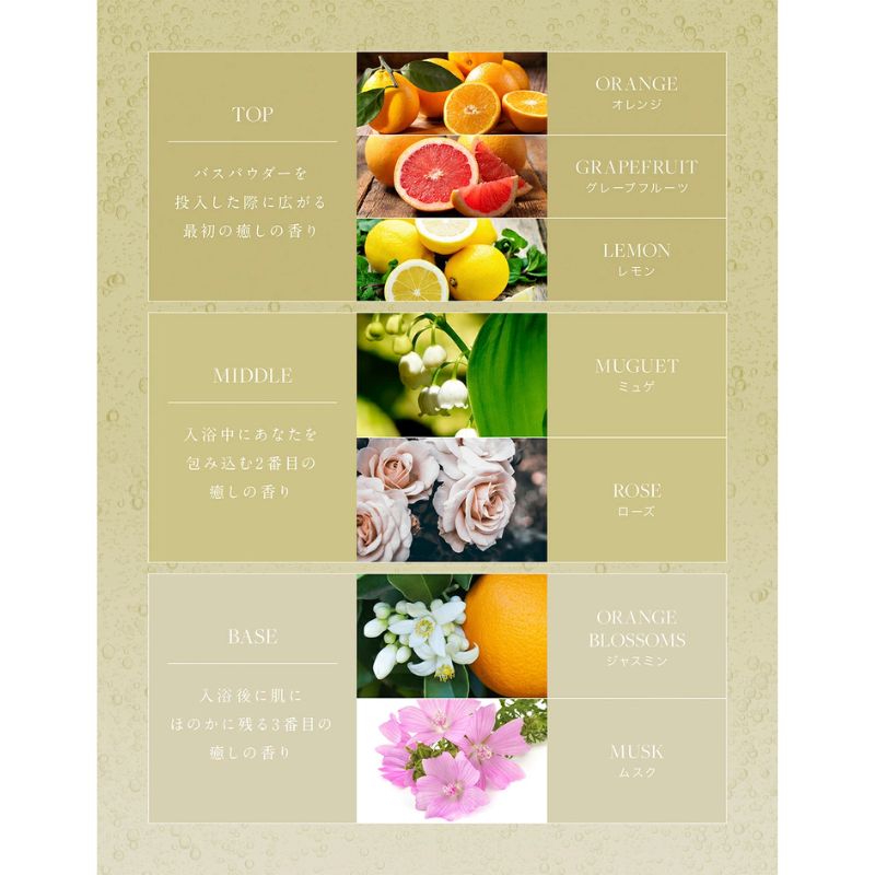 入浴剤 水素入浴剤  シトラス 香り付 1個 10回分 無香料25g 5個 お試し セット H＆ アッシュアンド ナノバブル 女性 プレゼント ギフト 水素風呂 水素 半身浴 美肌 疲労回復 睡眠 快眠 炭酸 炭酸入浴剤