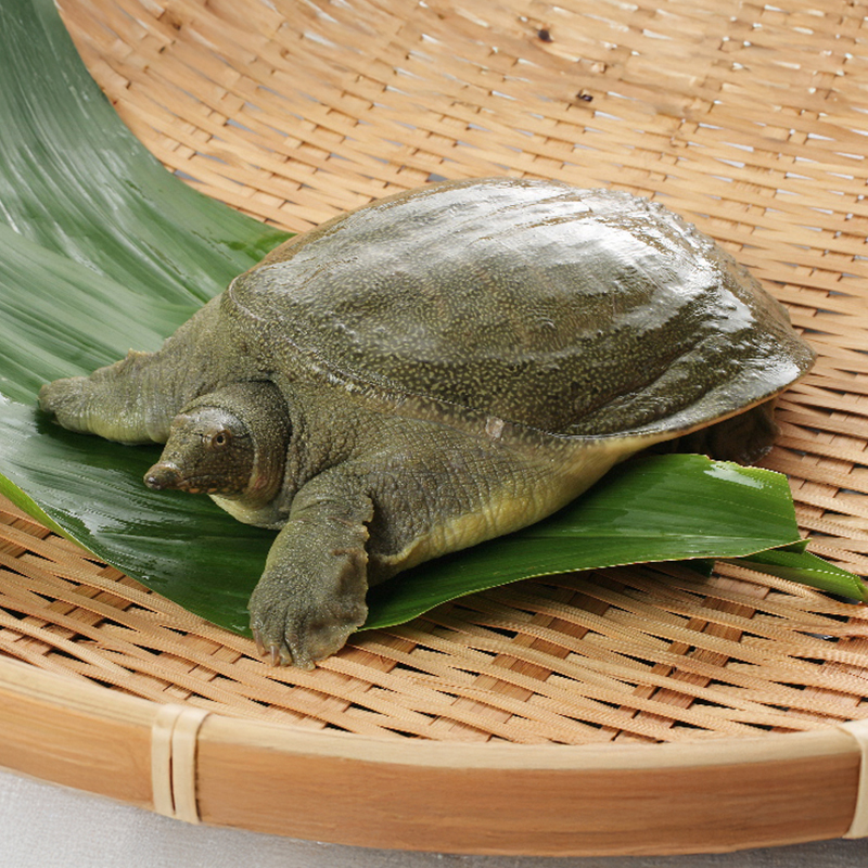 姫路瓢亭本店御食事券10万円分