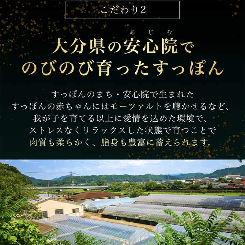 バラ3個【国産】すっぽん缶詰 190g すっぽんスープ スッポンスープ 料理 肉 エキス 国産 グルメ 老舗 全国 取り寄せ 取り寄せグルメ コラーゲン