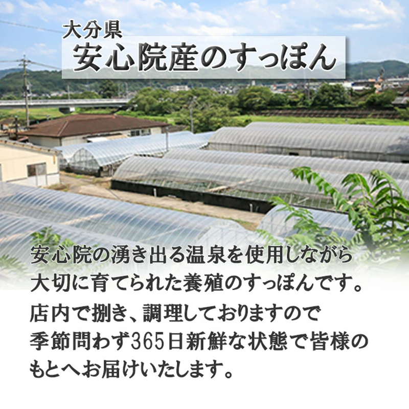 5個セット焼きナス すっぽん すっぽんスープ 茄子 ナス なす スッポンスープ 料理 エキス 国産 野菜 グルメ 老舗 全国 取り寄せ 取り寄せグルメ コラーゲン 液体 美容 精力 効果 ギフト プレゼント おすすめ 食べ物 惣菜 お惣菜 食品