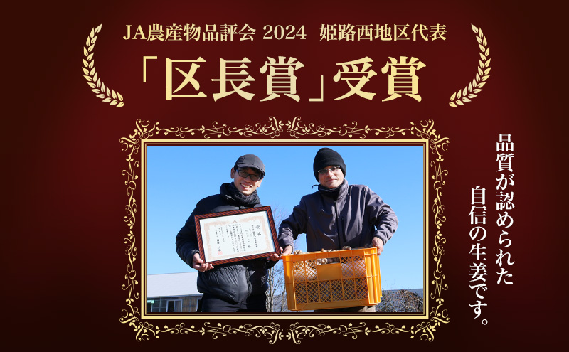 自然栽培で育てた甘くて瑞々しい姫路産新しょうが3.5kg 生姜 国産 栽培期間中 農薬 不使用 ショウガ 産地直送 農産物品評会 受賞