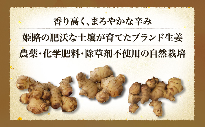 自然栽培で育てた甘くて瑞々しい姫路産熟成しょうが1.5kg 生姜 国産 栽培期間中 農薬 不使用 ショウガ 産地直送 農産物品評会 受賞