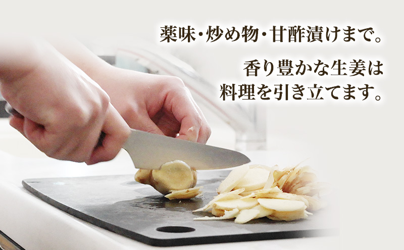 自然栽培で育てた甘くて瑞々しい姫路産新しょうが3.5kg 生姜 国産 栽培期間中 農薬 不使用 ショウガ 産地直送 農産物品評会 受賞